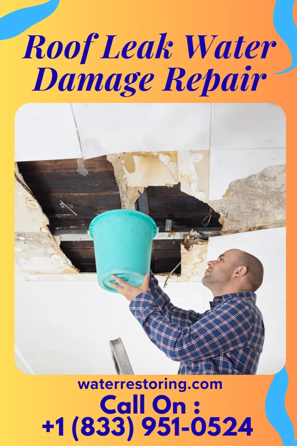 Roof Leak Water Damage Repair in Benson, PA
