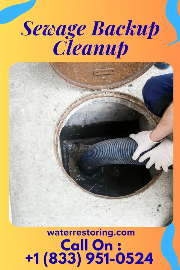 Sewage Backup Cleanup in Benson, PA