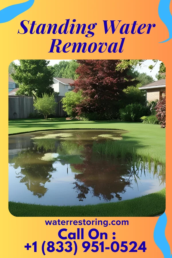 Standing Water Removal in Benson, PA